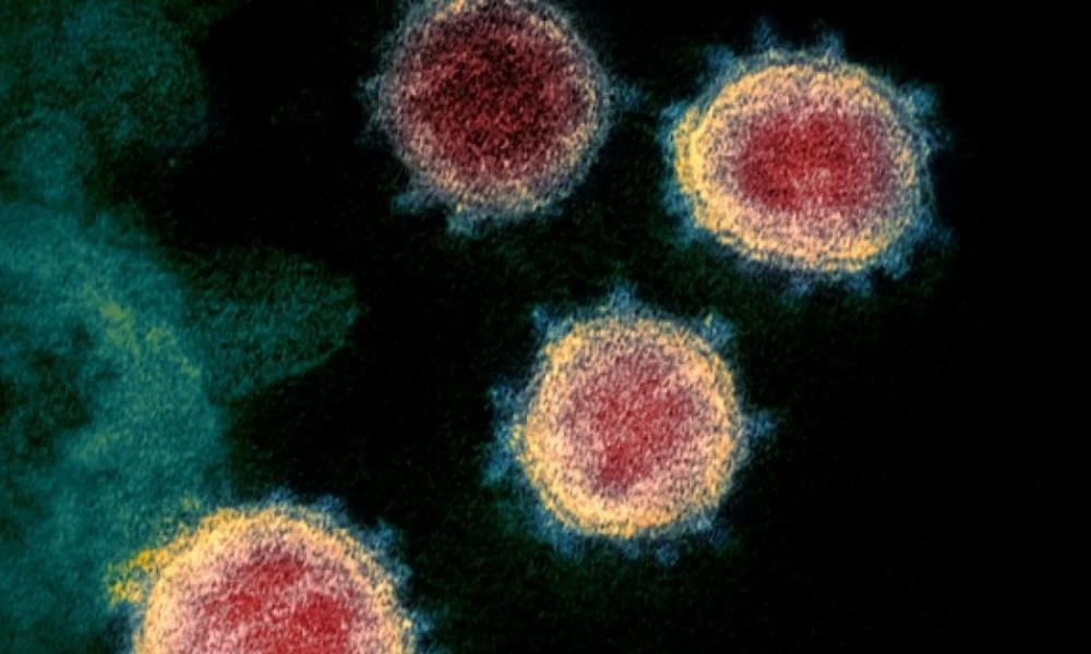 Γιώργος Πολίτης: Η πρόβλεψη του Σμηνίτη για την εξάπλωση του κορονοϊού στην Ελλάδα